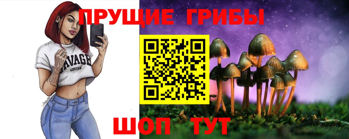 Галлюциногенные грибы мицелий Курчатов